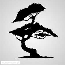 Szablon lub naklejka drzewko bonsai 04