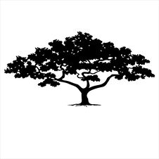 Szablo do malowani lub naklejka bonsai  tree_07
