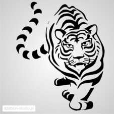 tygrys animal_100