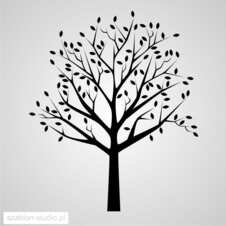 drzewo, drzewka tree_63