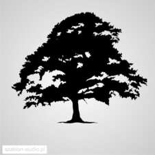 Szablon malarski lub naklejka ścienna drzewo, drzewka tree_27