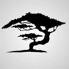  Naklejka lub szablon drzewo bonsai  tree_05
