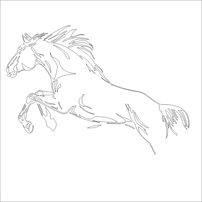 koń, konik animal_135